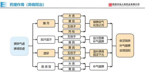 聚焦产品研发,天地人和药业倍芪脐贴品质获市场认可